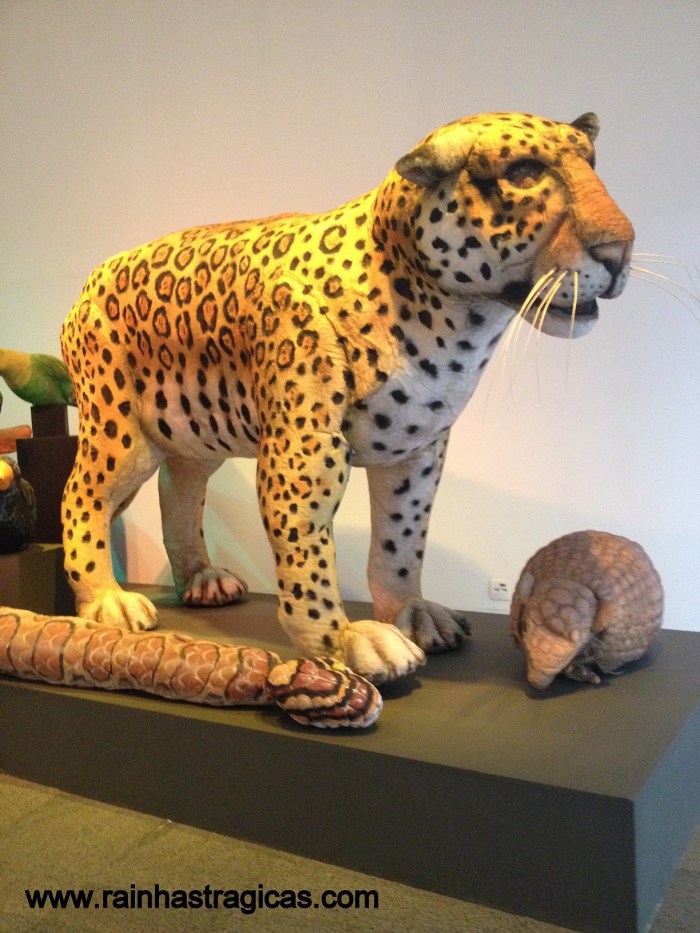 Foto 07-11-14 12 58 38