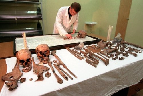 Remanescentes humanos dos Romanov.